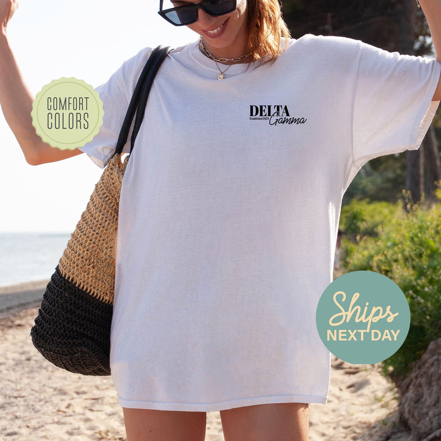 Delta Gamma Basic Comfort Colors Sorority T-shirt _ 39149g