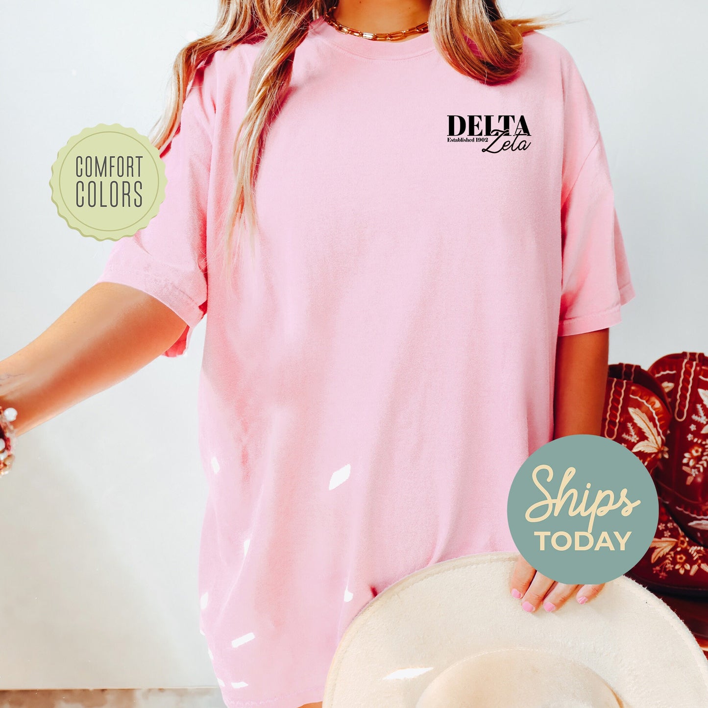 Delta Zeta Basic Comfort Colors Sorority T-shirt _ 39151g