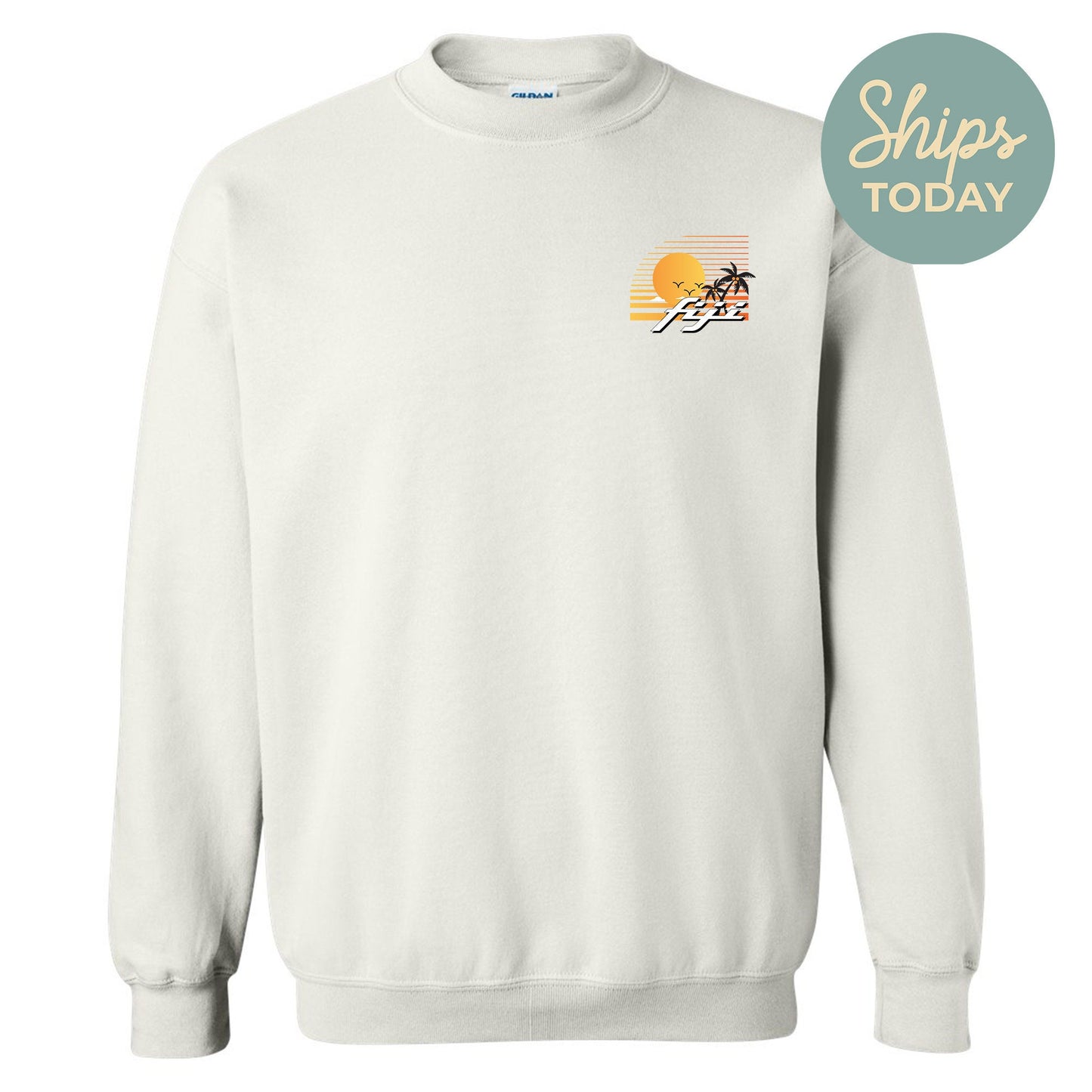 FIJI Retro Rides Fraternity Sweatshirt _ 33599g